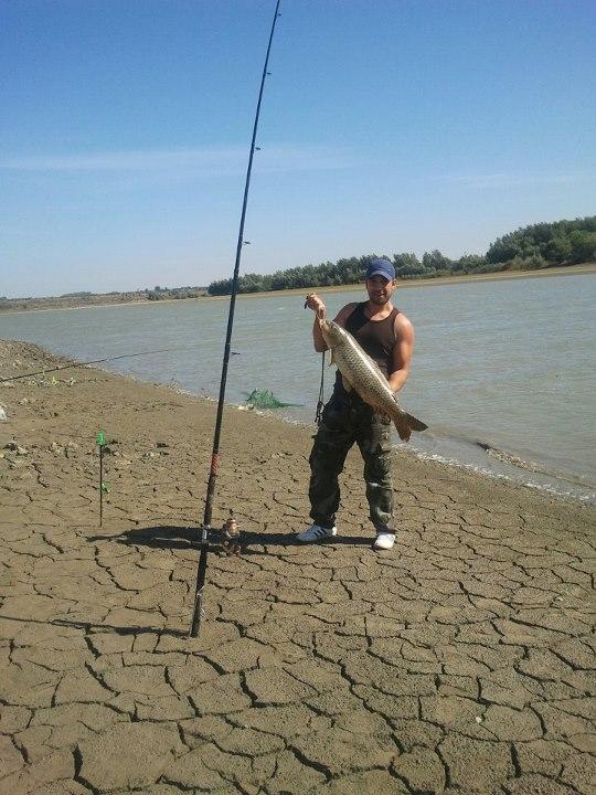 i fish - 5745492782332189559381339591621n.jpeg